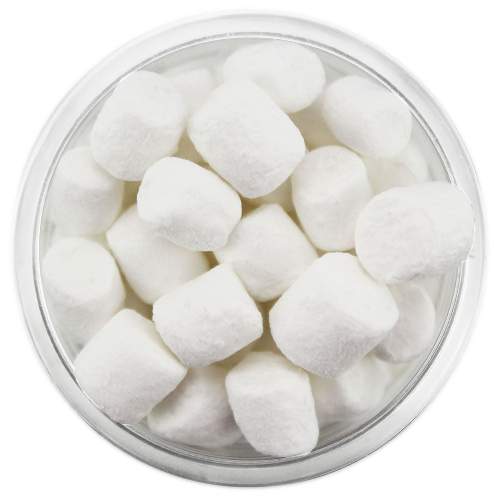 Tiny White Dehydrated Marshmallows 1 CUP