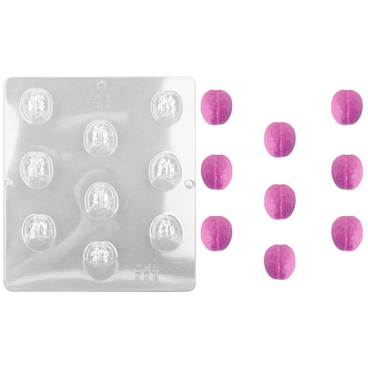 Brain Chocolate Mold