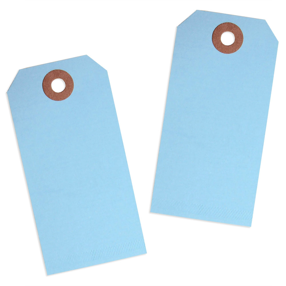 Light Blue Paper Tags