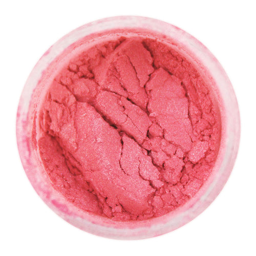 EDIBLE LUSTER DUST Layer Cake Shop