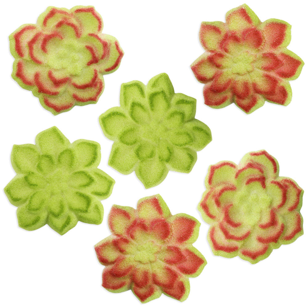 Succulent Sugars