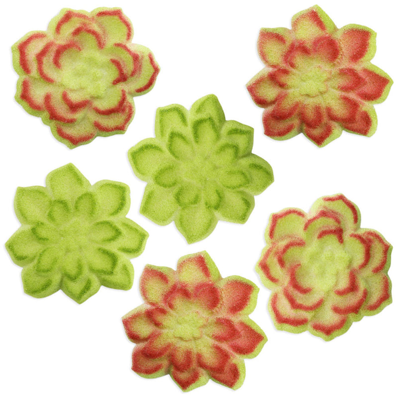 Succulent Sugars